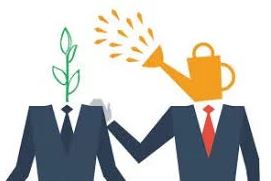 mentor
