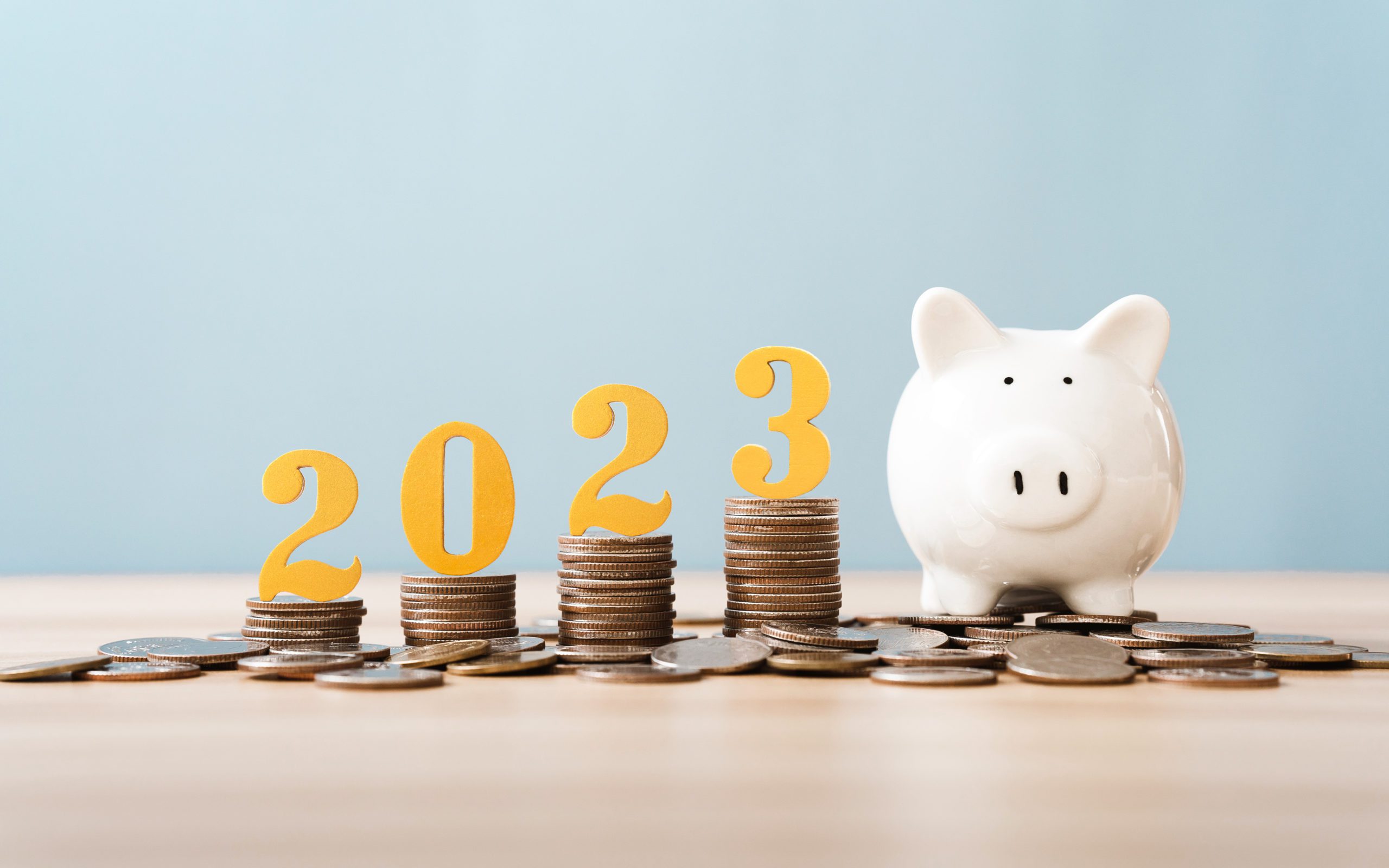 Chp Raise 2023 - yem3nsn